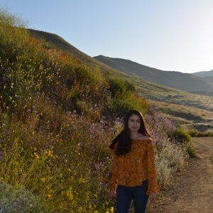 Meet your Posher, Daisy